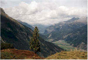 L�ngenfeld