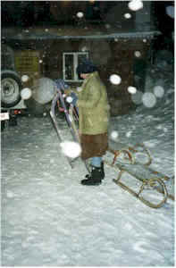 Schlittenfahrt im Schneegest�ber