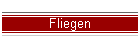 Fliegen